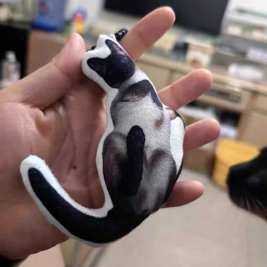 Porte-clés Chat Moche