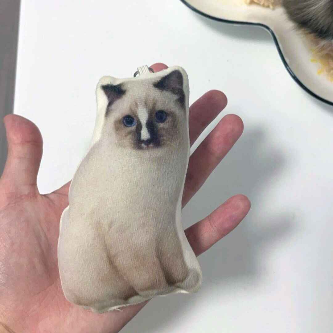 Porte-clés Chat Moche