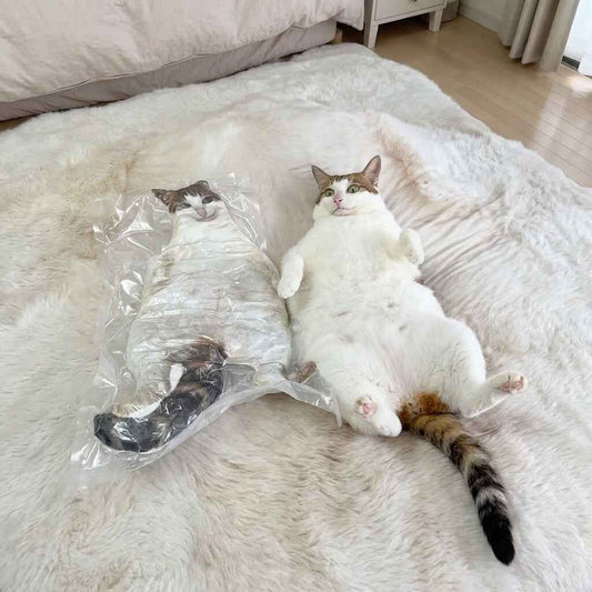 Ugly Pillow